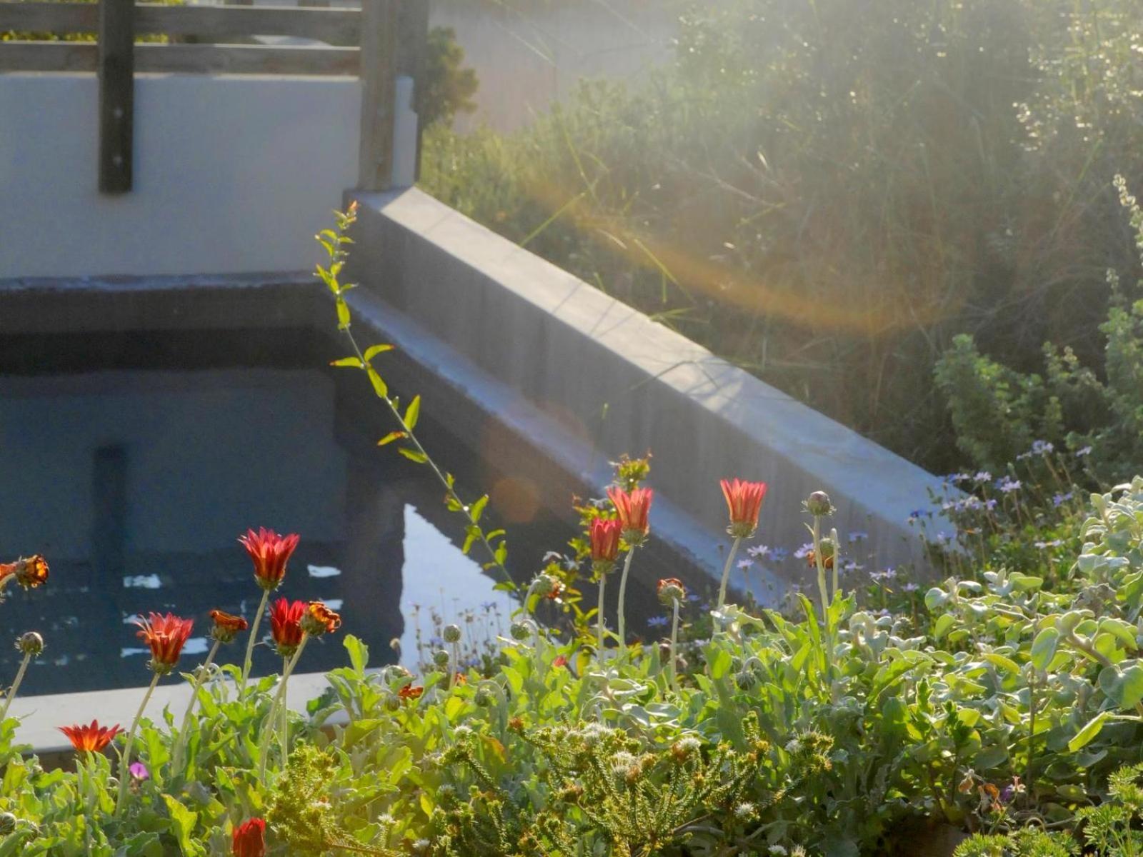Christiana Lodge Plettenberg Bay Rum bild